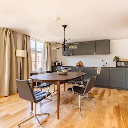 Sanders Regent 16- Bright In Center 公寓 哥本哈根