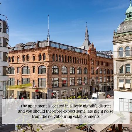 Sanders Regent 16- Bright In Center 公寓 哥本哈根