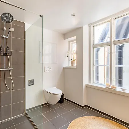 Sanders Regent Bright In Center 公寓 *