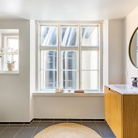 Sanders Regent 16- Bright In Center 公寓 哥本哈根